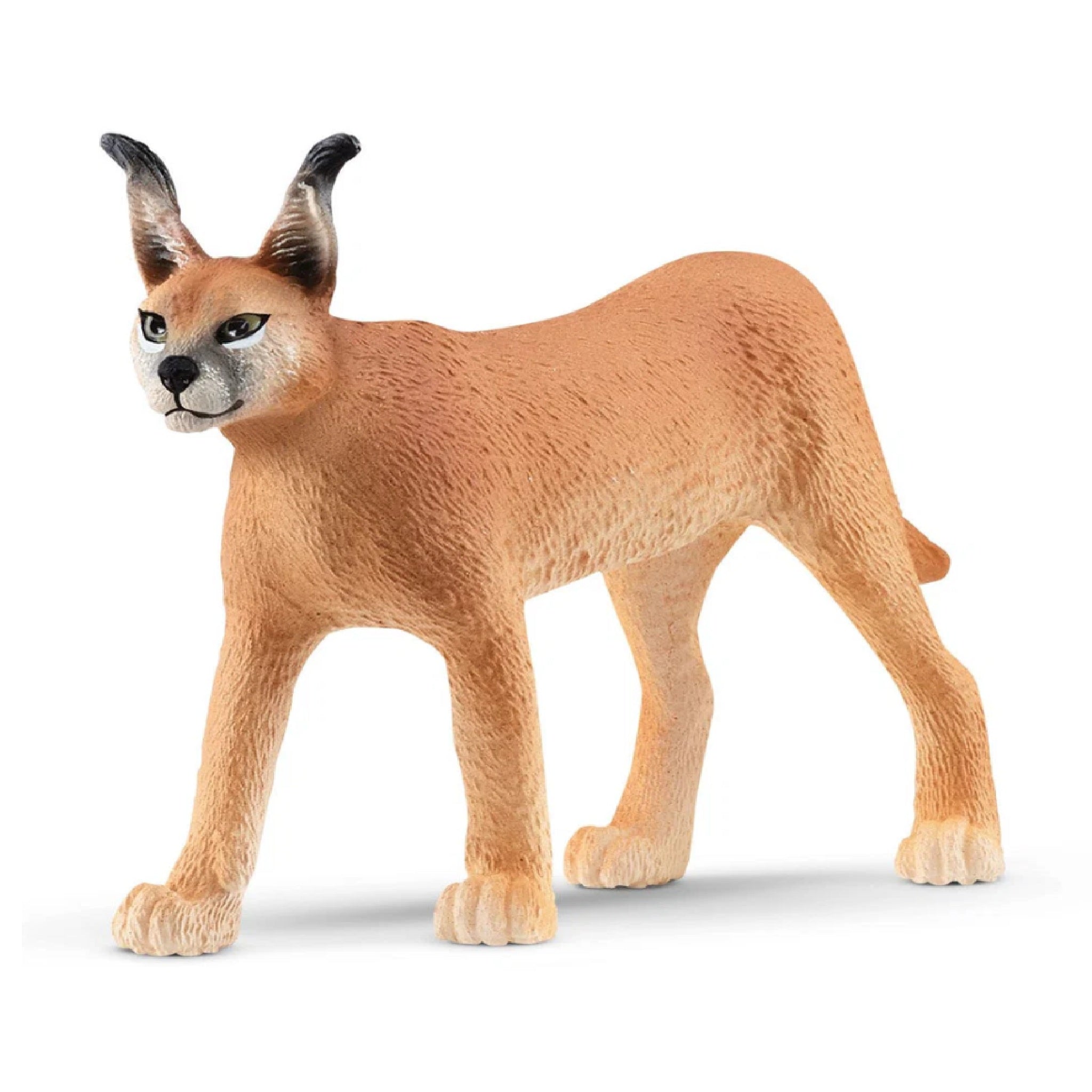 Schleich - Caracal Female - 14867