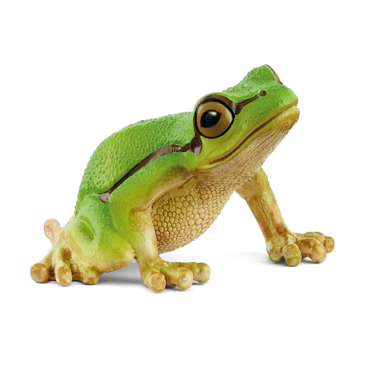 Schleich - European Tree Frog - 14882