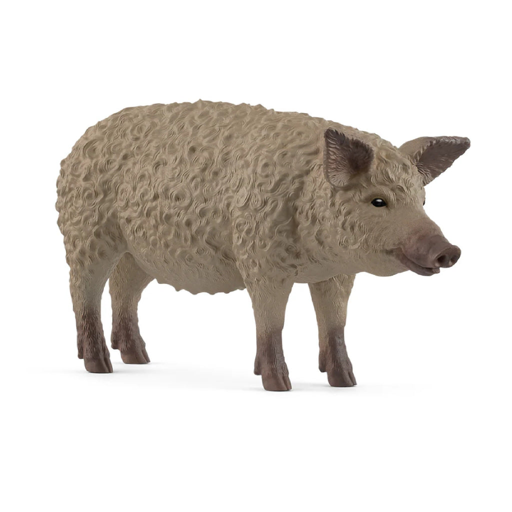 Schleich - Mangalica - 14892