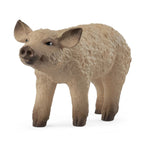 Schleich - Mangalica Piglet - 14893