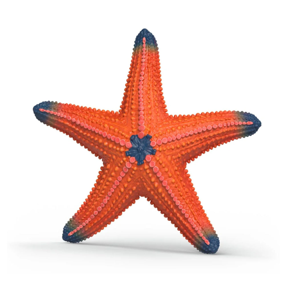 Schleich - Starfish Colour Change - 14902