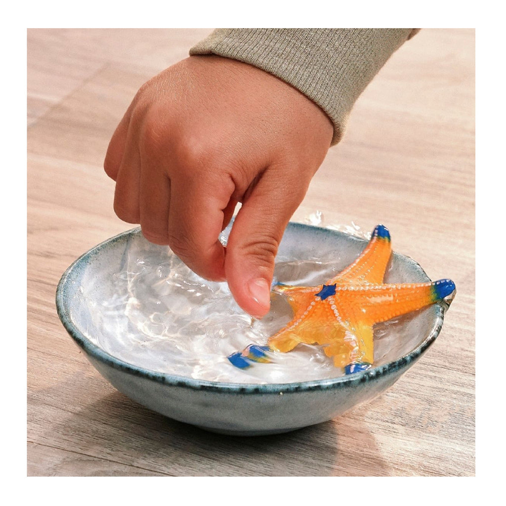 Schleich - Starfish Colour Change - 14902