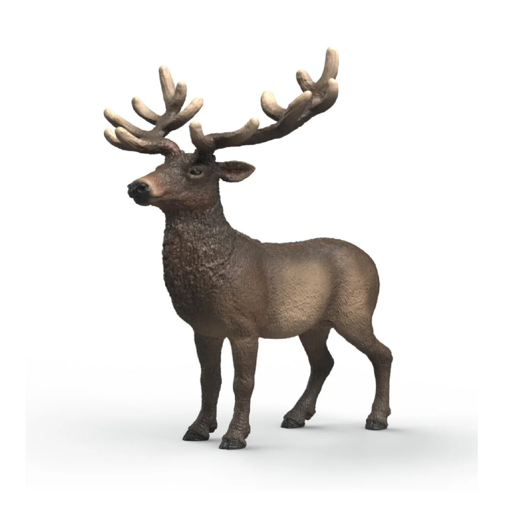 Schleich - Elk - 14992