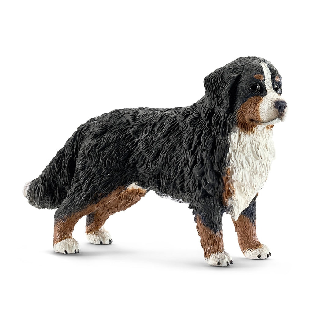 Schleich - Bernese Mountain Dog - 16397