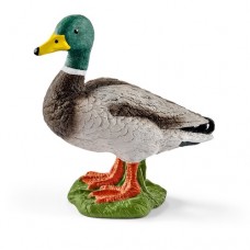 Schleich - Drake - 13824 Schleich - Drake - 13824