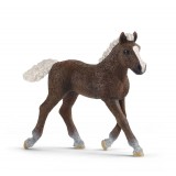 Schleich - Black Forest Foal - 13899 Schleich - Black Forest Foal - 13899
